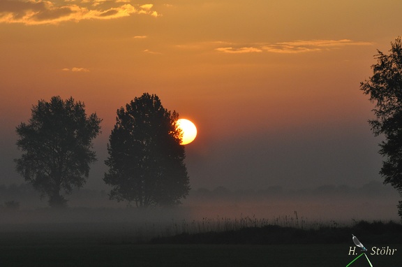 Sonnenaufgang im Nationalpark Weerribben-Wieden