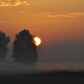 Sonnenaufgang im Nationalpark Weerribben-Wieden